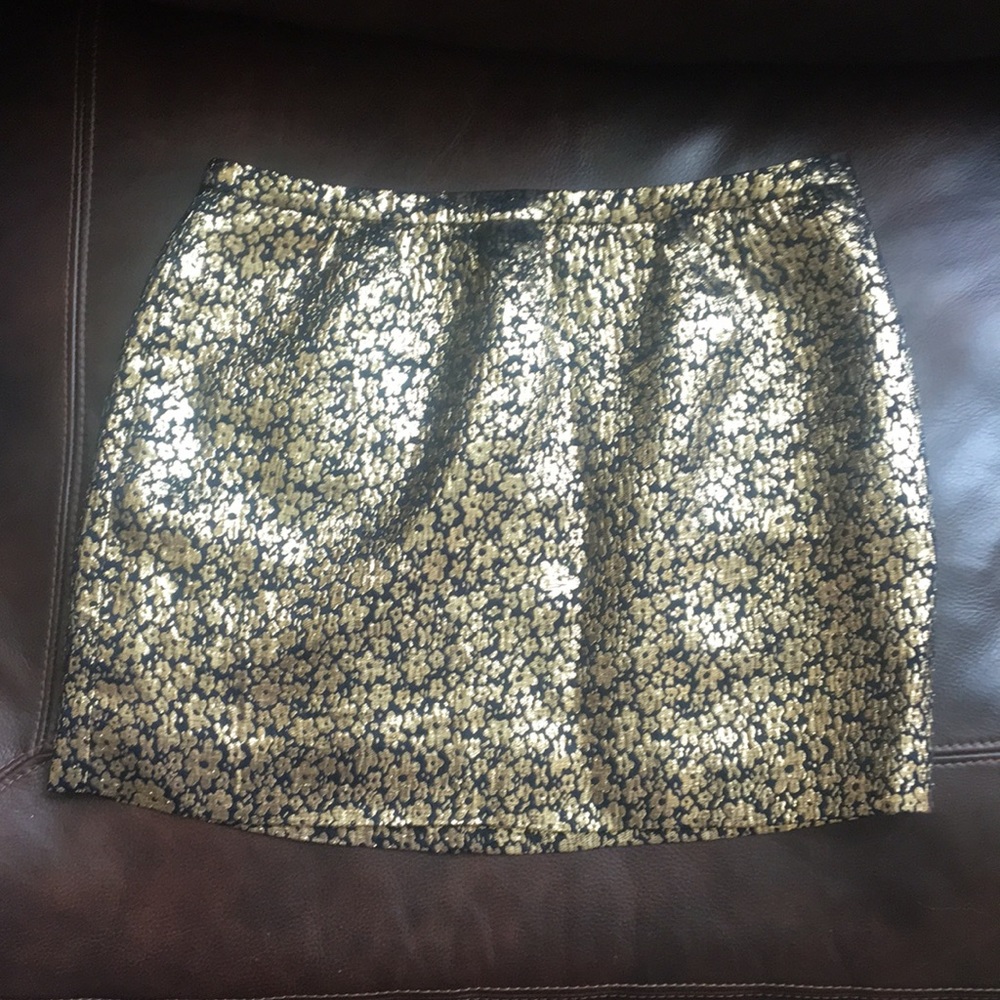 J. Crew skirt